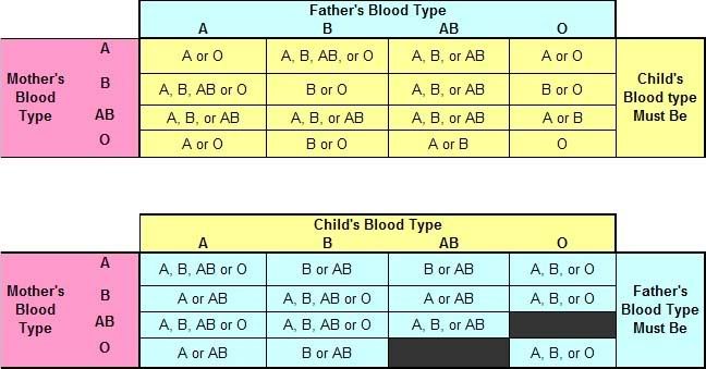 ap-bio-chapter-fourteen-mendel-and-the-gene-idea